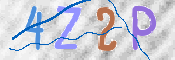 CAPTCHA 验证图片
