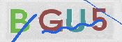 CAPTCHA 验证图片