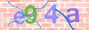 CAPTCHA 验证图片