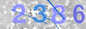 CAPTCHA 验证图片