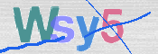CAPTCHA 验证图片