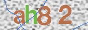 CAPTCHA 验证图片