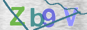 CAPTCHA 验证图片