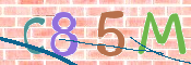 CAPTCHA 驗證圖片