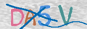 CAPTCHA 验证图片