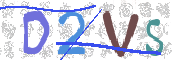CAPTCHA 验证图片