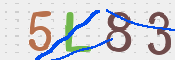 CAPTCHA 验证图片