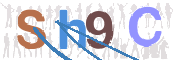 CAPTCHA 验证图片