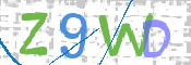 CAPTCHA 验证图片