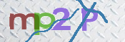 CAPTCHA 验证图片
