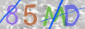 CAPTCHA 验证图片