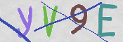 CAPTCHA 验证图片