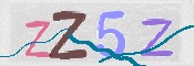 CAPTCHA 验证图片