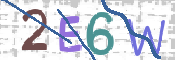 CAPTCHA 验证图片