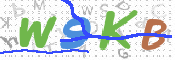 CAPTCHA 验证图片