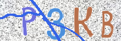 CAPTCHA 验证图片