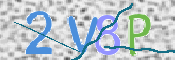 CAPTCHA 验证图片