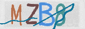 CAPTCHA 验证图片