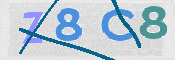 CAPTCHA 验证图片