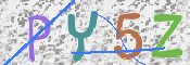 CAPTCHA 验证图片
