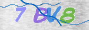 CAPTCHA 验证图片