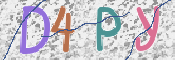 CAPTCHA 验证图片