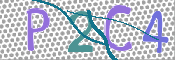 CAPTCHA 验证图片