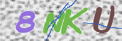 CAPTCHA 验证图片