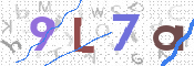 CAPTCHA 验证图片