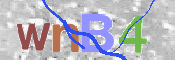 CAPTCHA 驗證圖片
