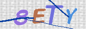 CAPTCHA 驗證圖片