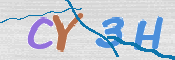 CAPTCHA 验证图片