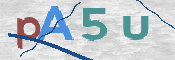 CAPTCHA 验证图片