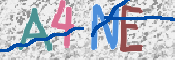 CAPTCHA 验证图片