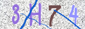 CAPTCHA 驗證圖片