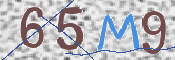 CAPTCHA 验证图片