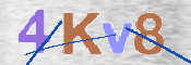 CAPTCHA 驗證圖片