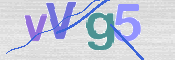 CAPTCHA 验证图片
