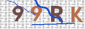 CAPTCHA 验证图片