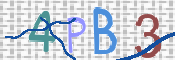 CAPTCHA 验证图片