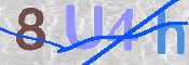 CAPTCHA 驗證圖片