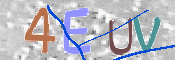CAPTCHA 验证图片