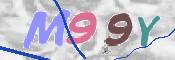 CAPTCHA 验证图片
