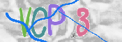 CAPTCHA 验证图片