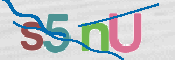 CAPTCHA 验证图片