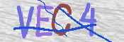 CAPTCHA 验证图片