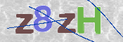 CAPTCHA 验证图片