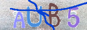 CAPTCHA 驗證圖片