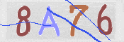 CAPTCHA 验证图片
