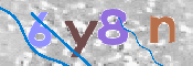 CAPTCHA 驗證圖片